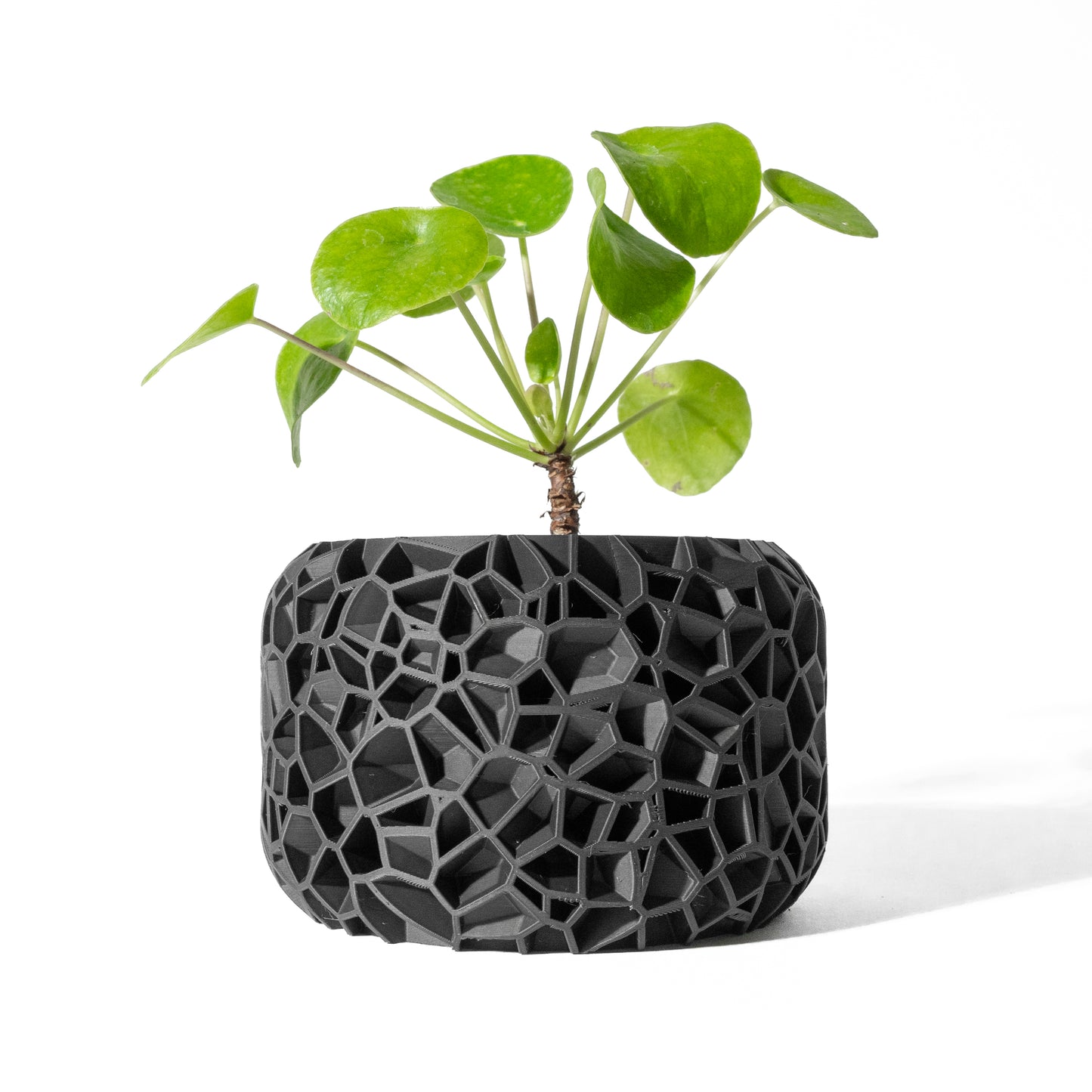 VORI PLANTER