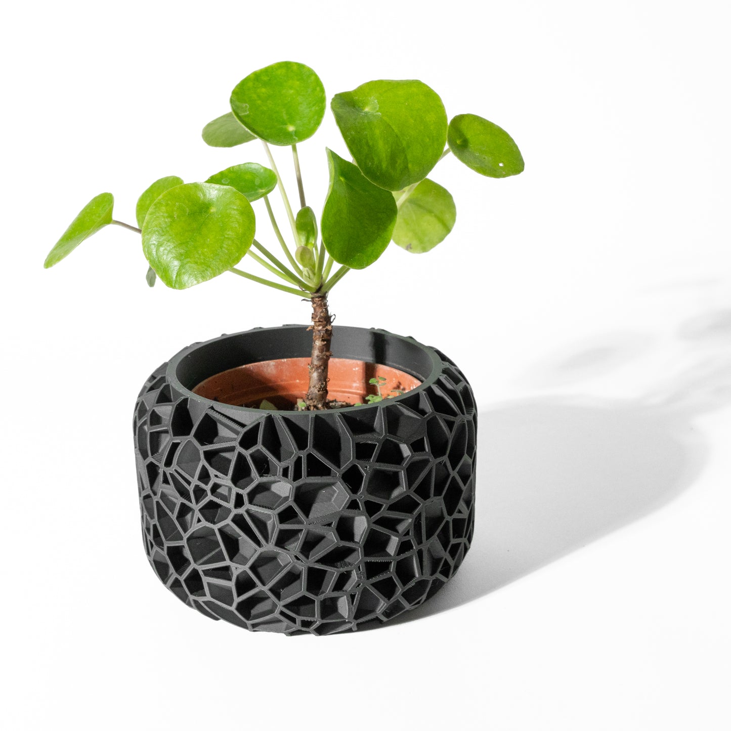 VORI PLANTER